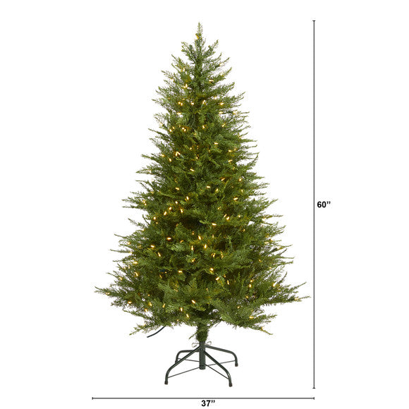 5' Wisconsin Fir Artificial Christmas Tree with 250 Warm White LED Lights
