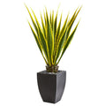 4' Agave Artificial Plant in Black Planter