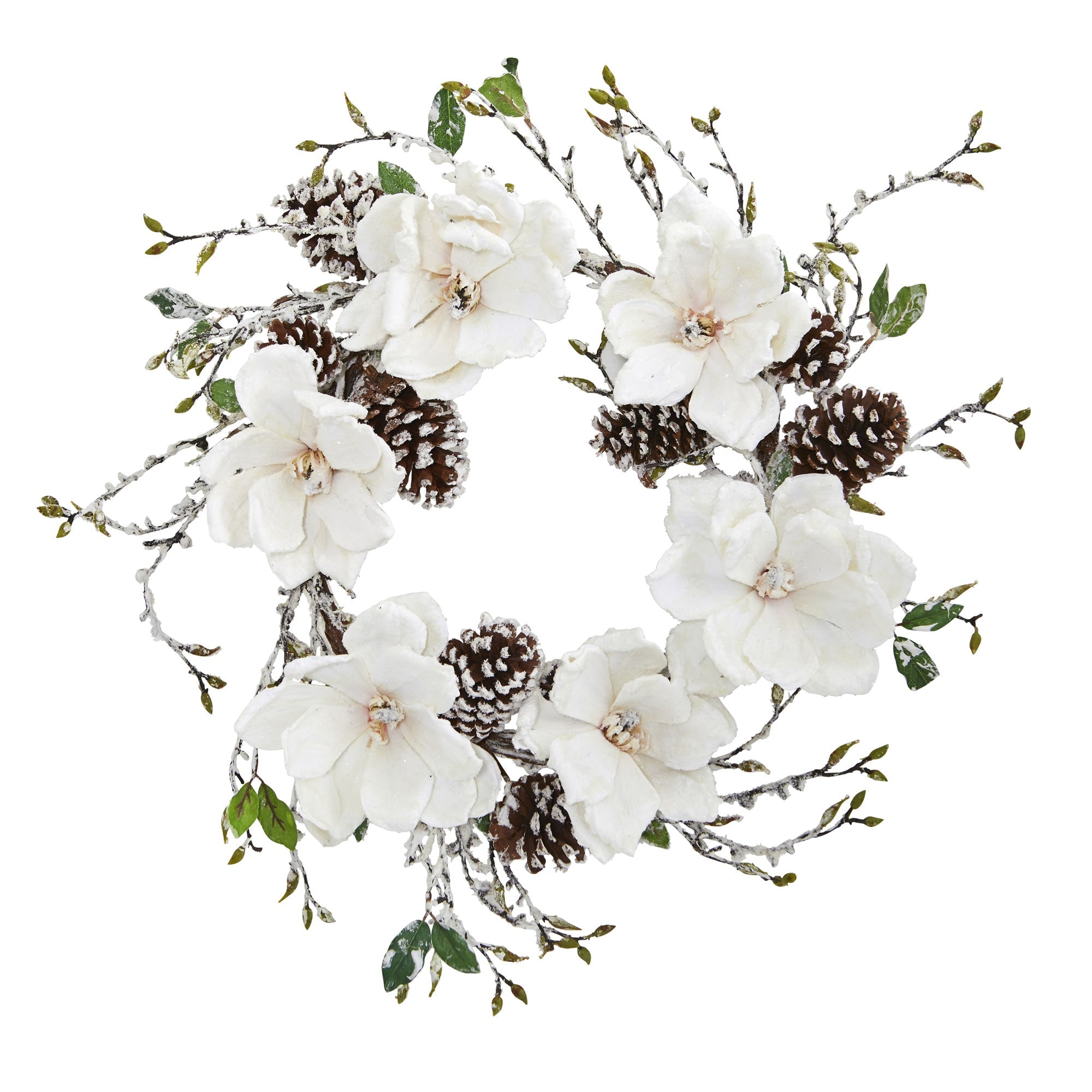 24" Snowed Magnolia / Pine Cone Wreath