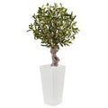 3.5' Olive Tree in White Tower Planter