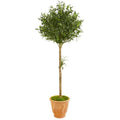 5' Olive Topiary Artificial Tree in Terra Cotta Planter