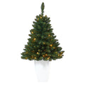 3.5' Northern Rocky Spruce Artificial Christmas Tree w/ 50 Clear Lights