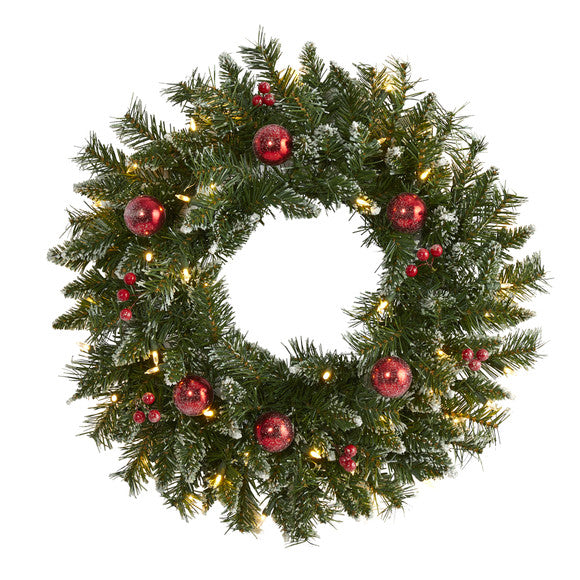 24" Frosted Artificial Christmas Wreath with 50 Warm White LED Lights