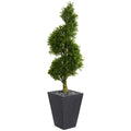 5' Boxwood Spiral Topiary Artificial Tree in Slate Planter UV Resistant