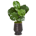 24"  Fiddle Leaf Artificial Plant in Decorative Planter