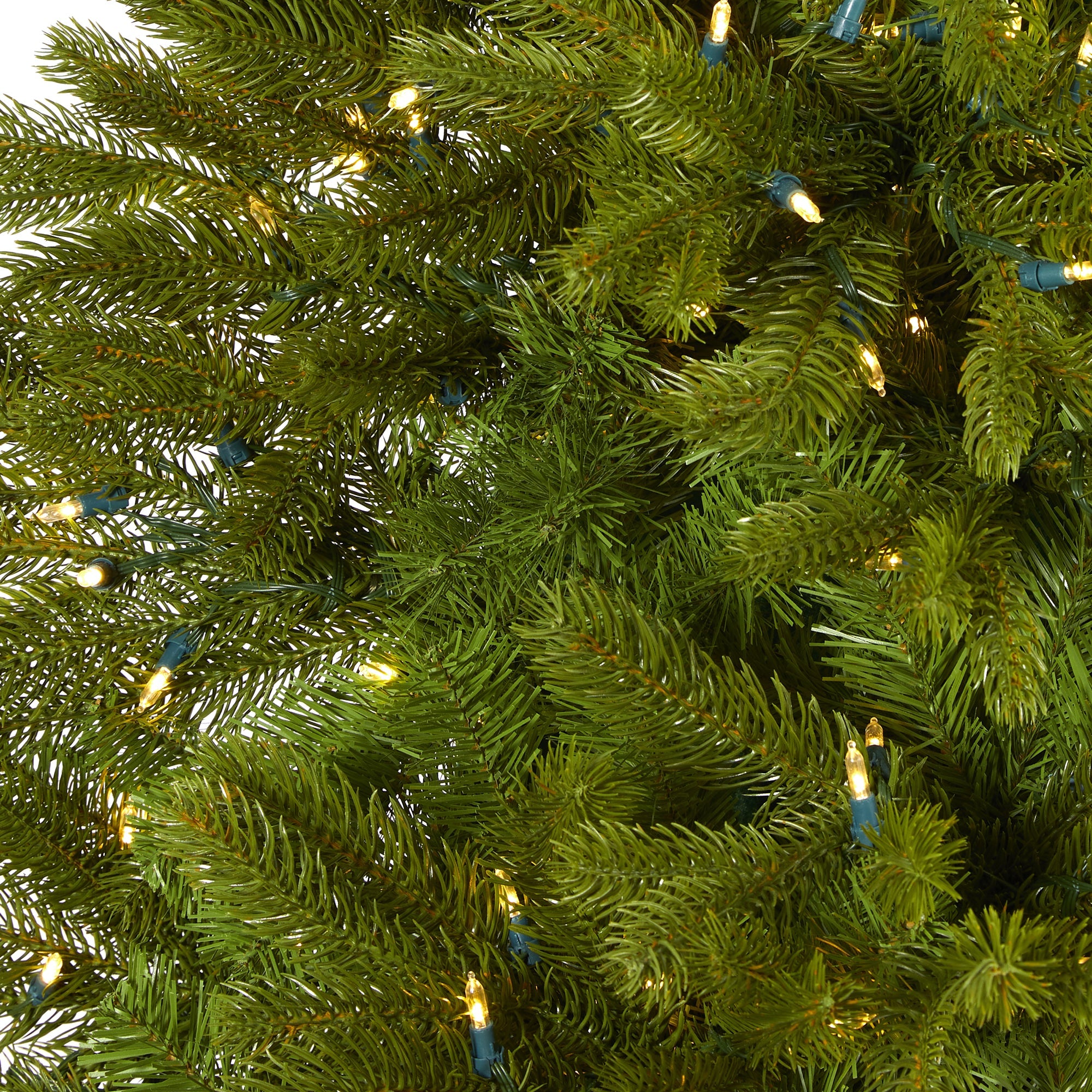 7' Cambridge Spruce Flat Back Artificial Christmas Tree w/ 500 Warm White