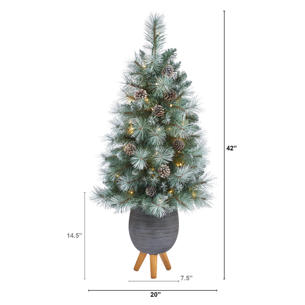 3.5' Frosted Tip British Columbia Mountain Pine Artificial Christmas Tree