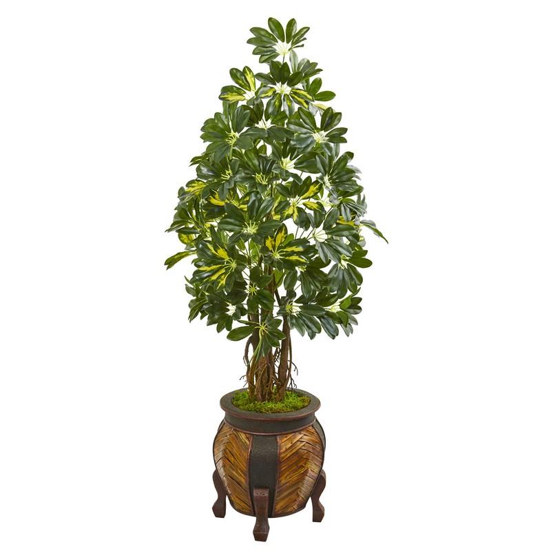 57"  Schefflera Artificial Tree in Decorative Planter