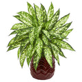22"  Aglonema Artificial Plant in Red Designer Vase