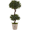 4.5' Sweet Bay Double Topiary Tree in Farmhouse Planter