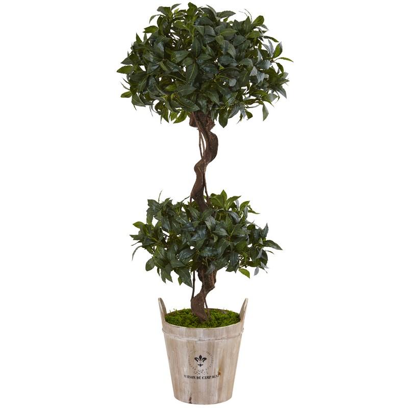 4.5' Sweet Bay Double Topiary Tree in Farmhouse Planter