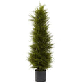 42' Cedar Tree