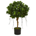 2.5' Panda Ficus Artificial Tree