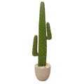56" Cactus Artificial Plant in Sandstone Planter
