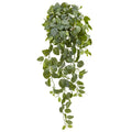 36"  Fittonia Hanging Bush Artificial Plant (Set of 2) (Real Touch)