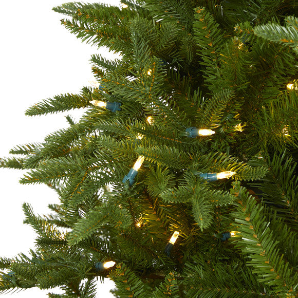 7.5' Cambridge Fir Artificial Christmas Tree with 800 Clear Warm LED Lights
