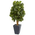 5.5' Fiddle Leaf Artificial Tree in Slate Planter