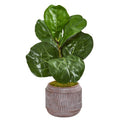 23"  Fiddle Leaf Artificial Plant in Stoneware Planter