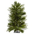 26"  Mixed Pine Tree