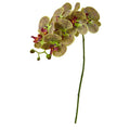 30"  Phalaenopsis Orchid Artificial Flower (Set of 6)