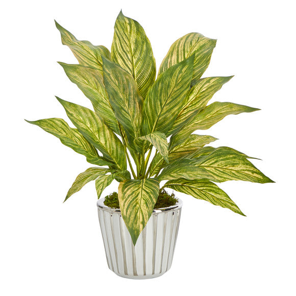 14" Musa Leaf Artificial Plant in White Planter with Silver Trimming