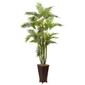 6.5' Areca w/Decorative Planter