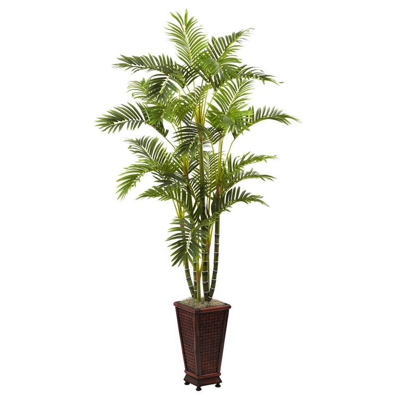 6.5' Areca w/Decorative Planter