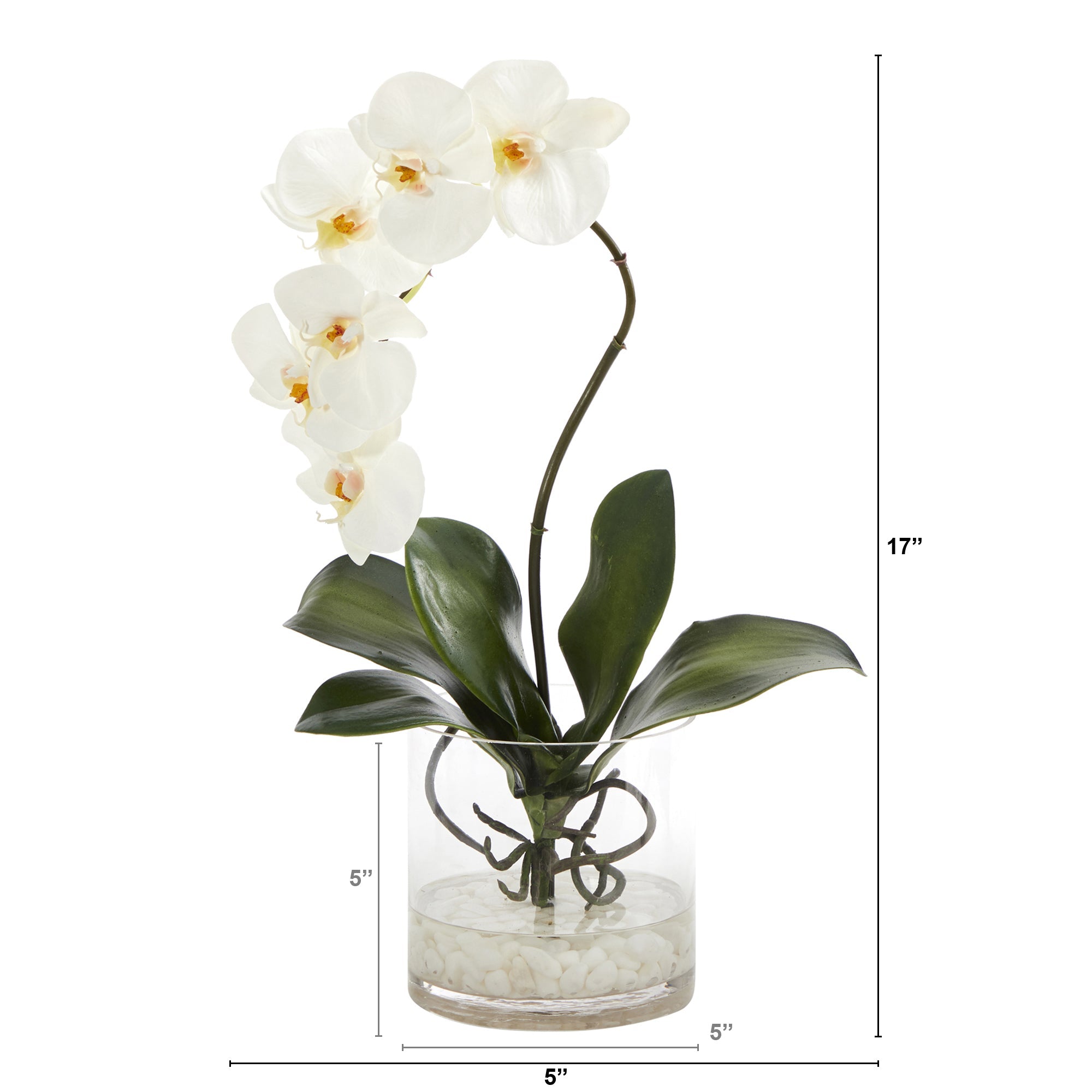 17" Phalaenopsis Orchid Artificial Arrangement in Glass Vase