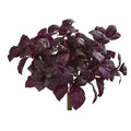 11" Basil Artificial Plant (Set of 6)
