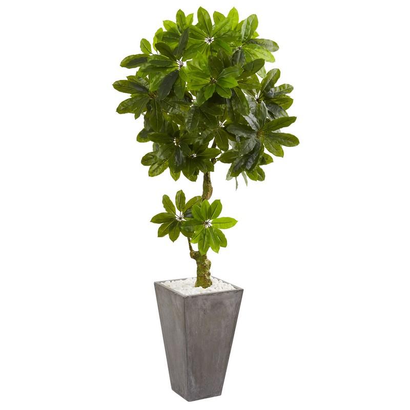 6' Schefflera Artificial Tree in Cement Planter UV Resistant (Indoor/Outdoor)