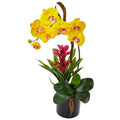 Orchid and Bromeliad in Glossy Black Cylinder