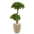 44"  Bonsai Styled Podocarpus Artificial Tree in Sand Colored Planter