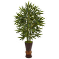 5' Bamboo Tree in Bamboo Planter