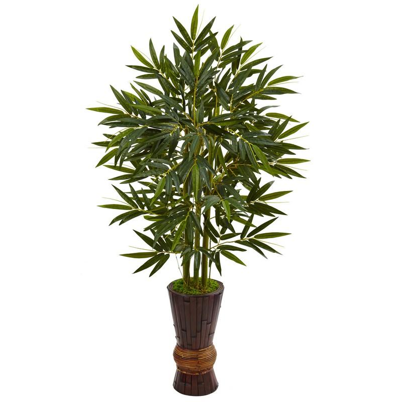 5' Bamboo Tree in Bamboo Planter