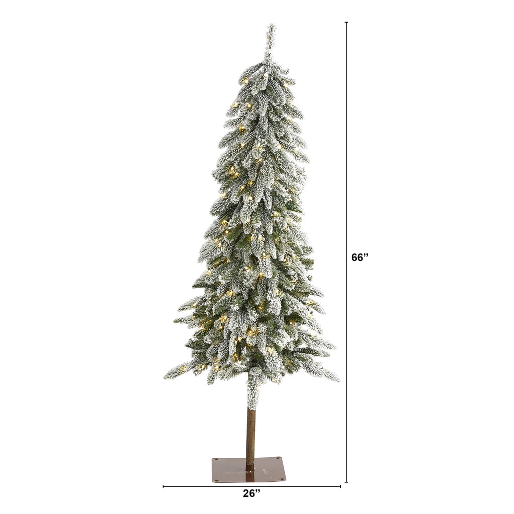 5.5' Flocked Washington Alpine Christmas Artificial Tree w 150 White Warm LED