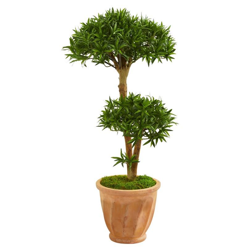 41"  Bonsai Styled Podocarpus Artificial Tree in Terra Cotta Planter