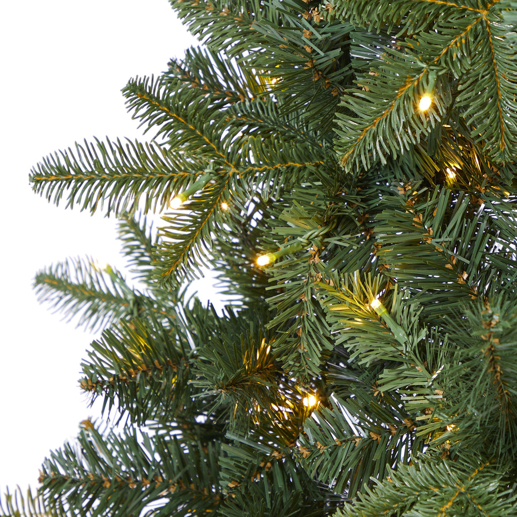 6' Grand Teton Spruce Flat Back Artificial Christmas Tree w180 Clear LED Lights