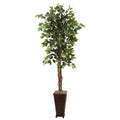 6.5' Ficus w/Decorative Planter