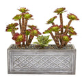 23"  Echeverria Succulent Artificial Plant in Stone Planter