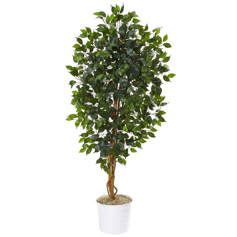 65"  Ficus Artificial Tree in White Tin Planter