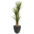 63"  Yucca Artificial Tree in Black Planter