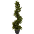 30"  Rosemary Spiral Tree (In-Door/Out-Door)