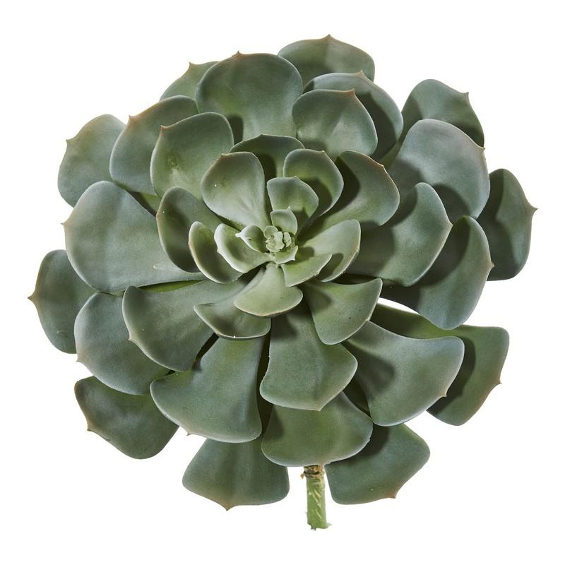 13"  Giant Echeveria Succulent Pick Artificial Plant (Set of 2)