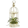 Mini Phalaenopsis Orchid Artificial Arrangement in Bird Cage