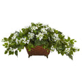Bougainvillea in Metal Planter