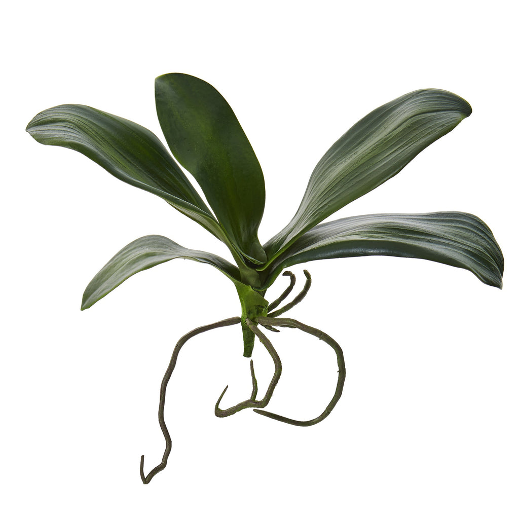 9" Phalaenopsis Orchid Leaf Artificial Flower (Set of 6)