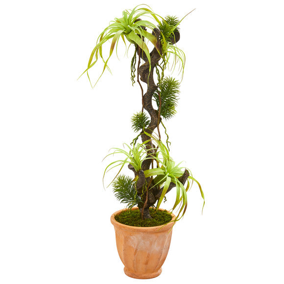 45" Tillandsia Artificial Plant in Terra-Cotta Planter
