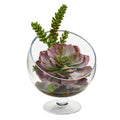 Succulent Artificial Plant in Pedestal Vase