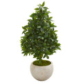 33" Sweet Bay Cone Topiary Artificial Tree in Sand Colored Planter