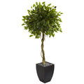 5.5' Ficus Artificial Tree in Black Wash Planter UV Resistant